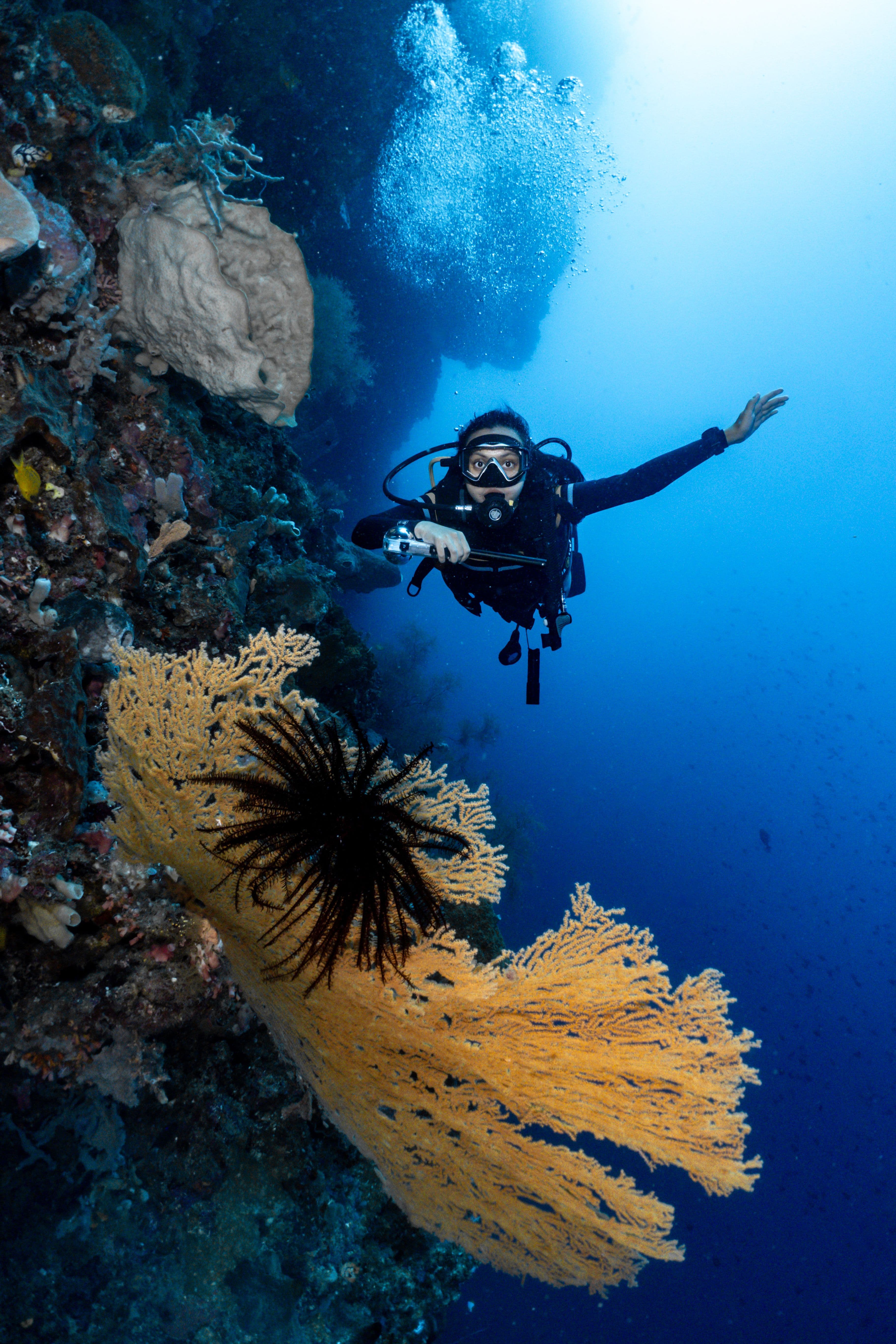 Diving Basic (FunDIVE)