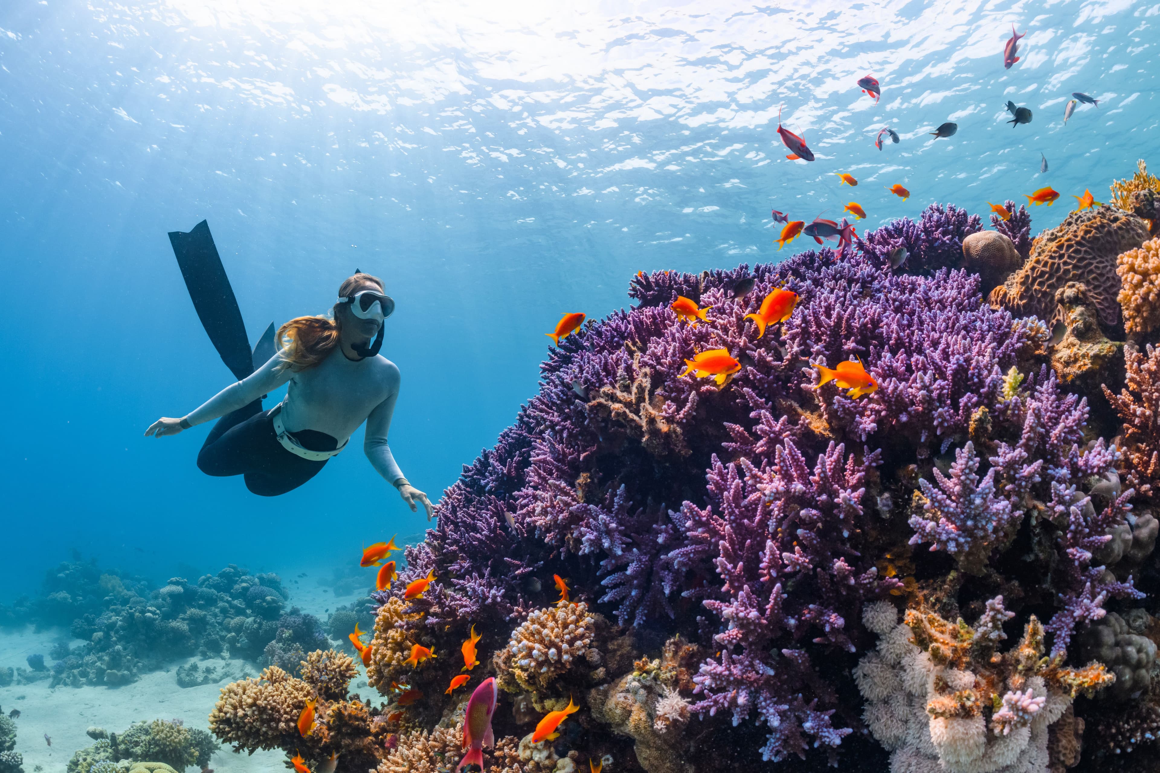Snorkeling Basic