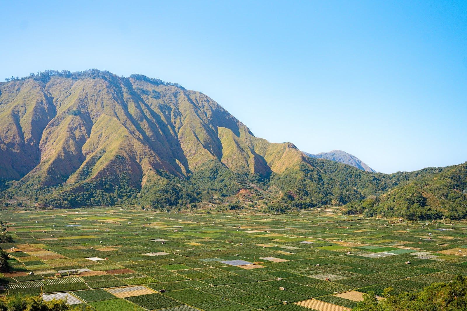 Sembalun 3D2N - Pergasingan Hill Trek