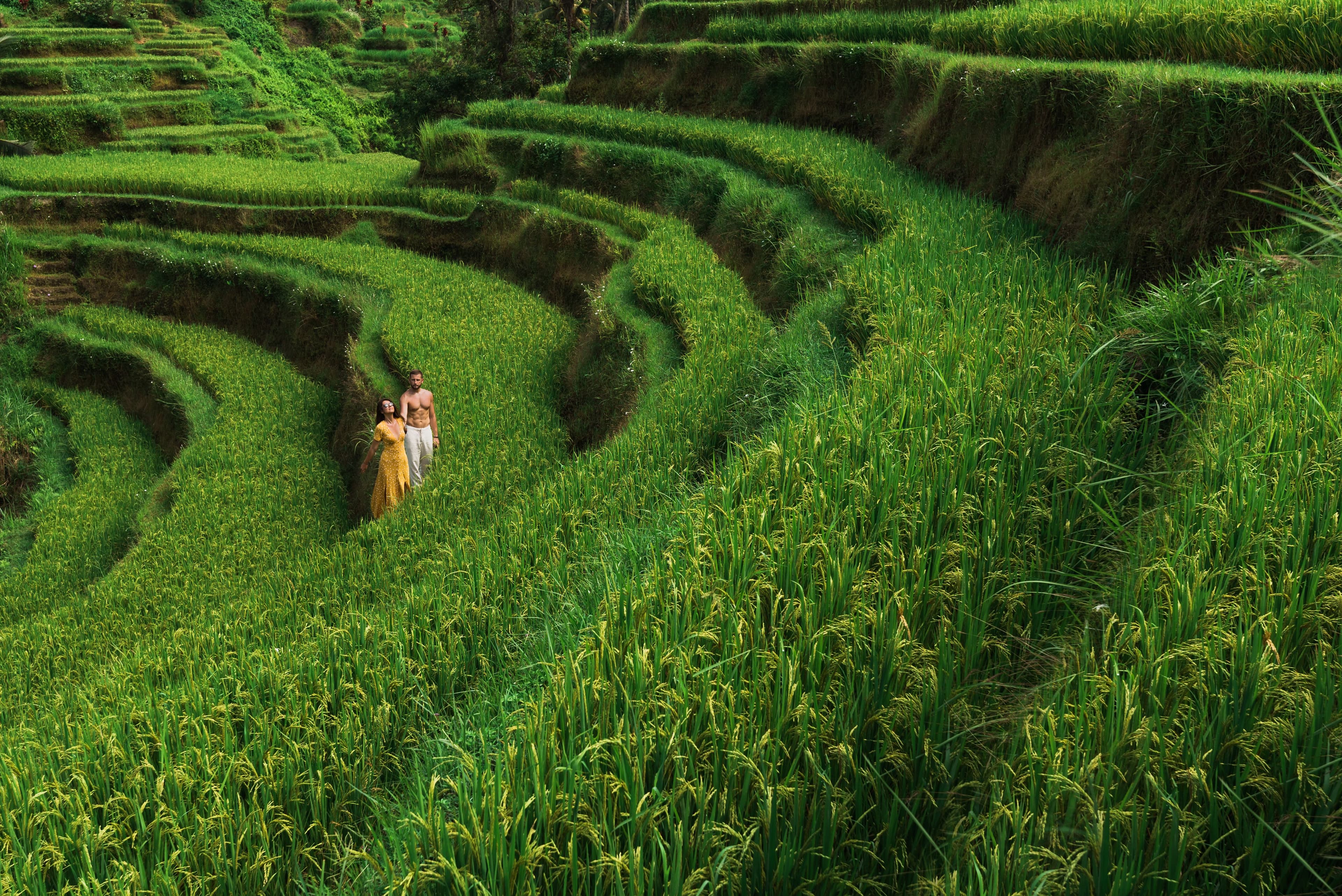 Rice Terrace Trekking