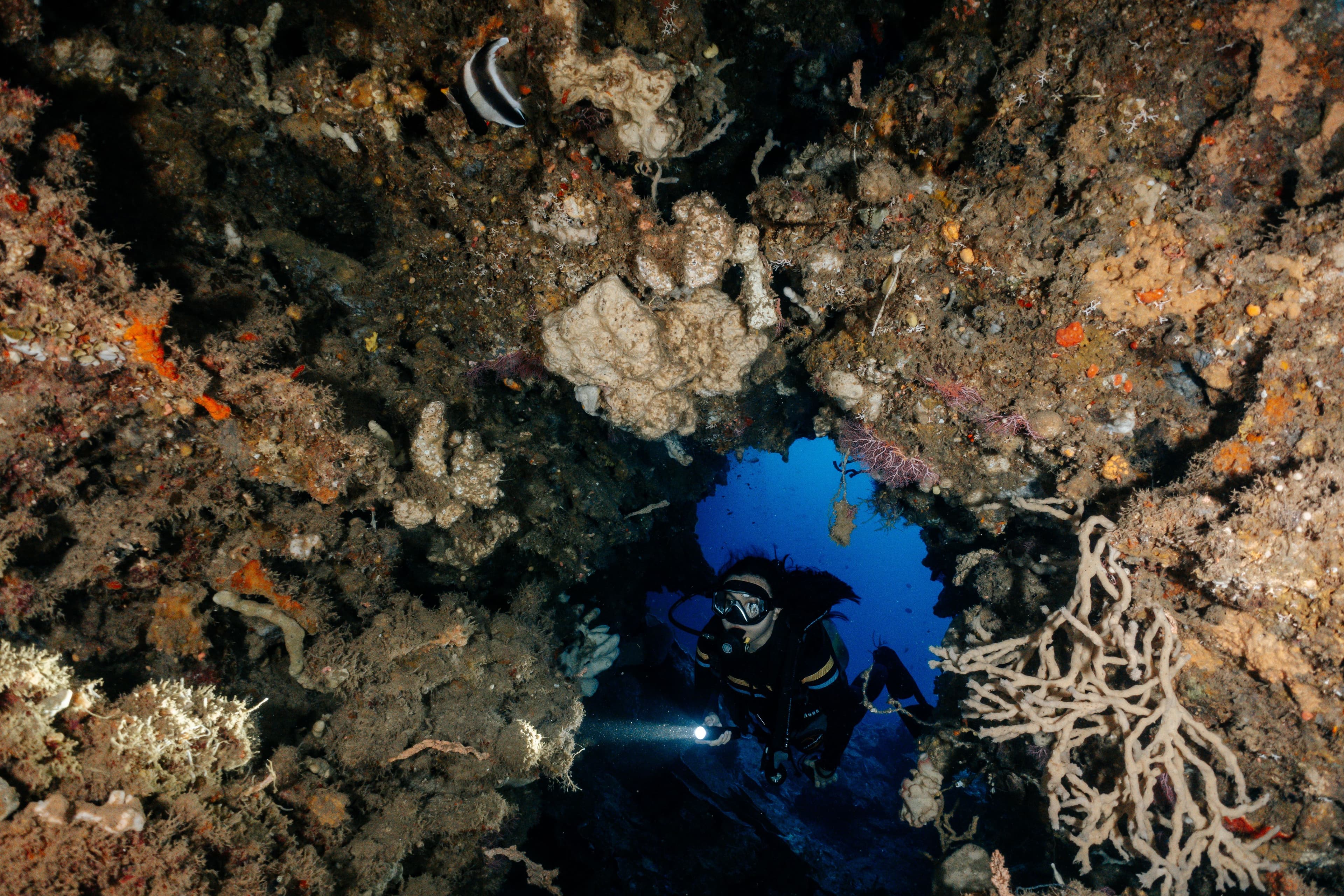 Diving Basic (FunDIVE)