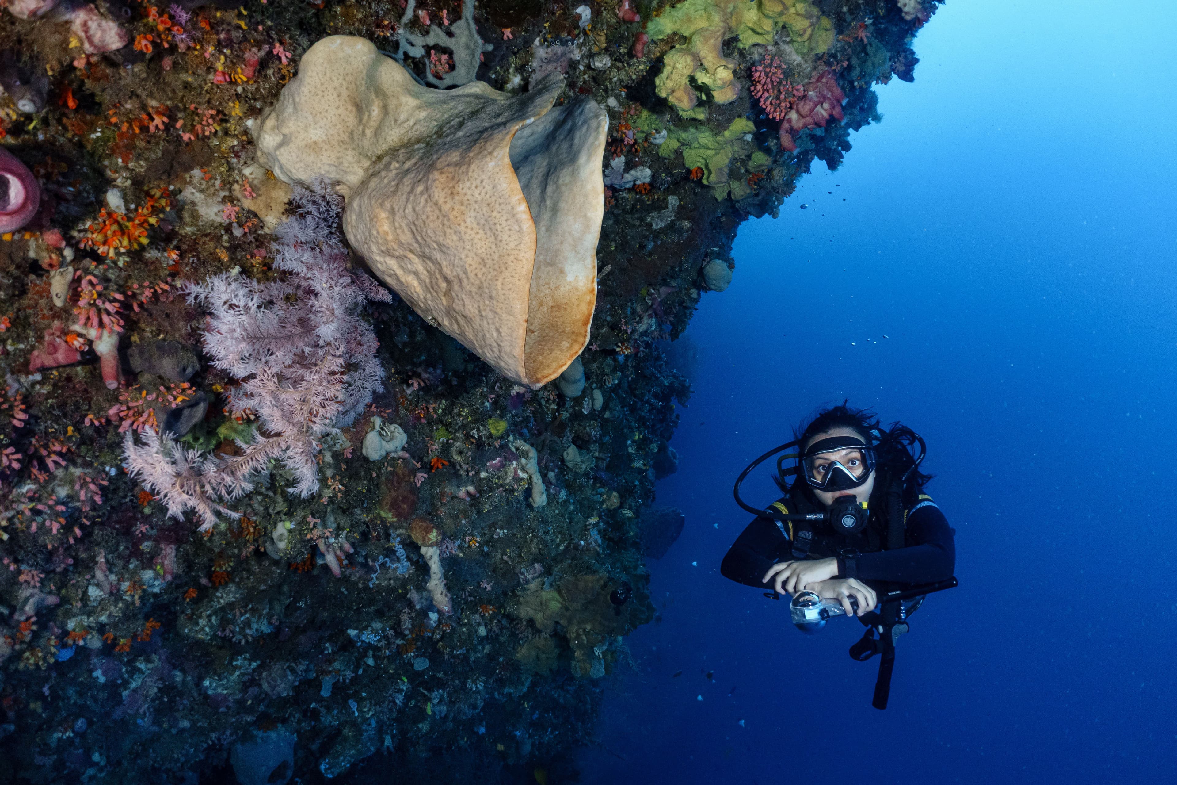 Diving Basic (FunDIVE)