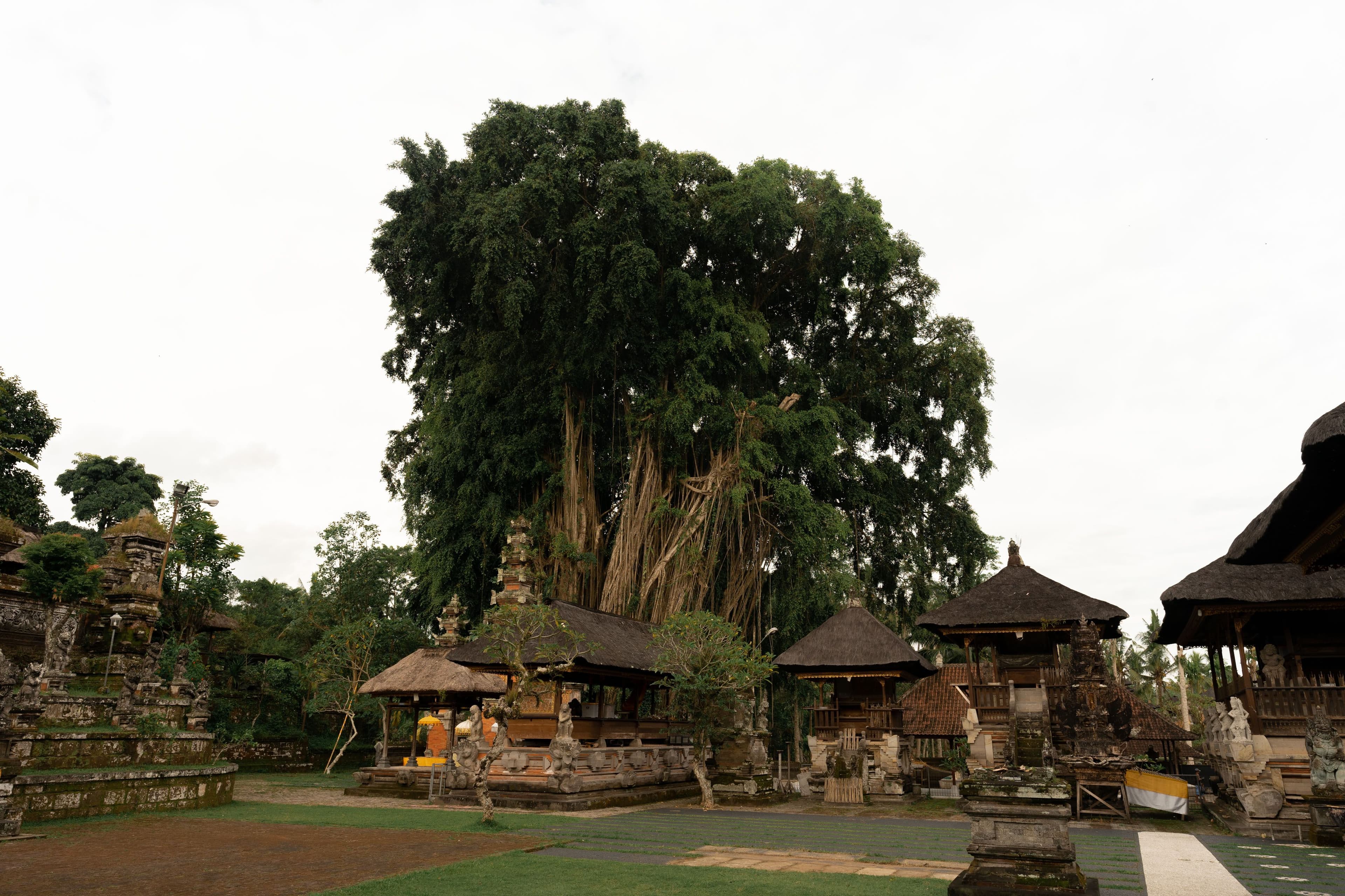 Ubud Tour C Rice Terrace - Rumah Bali Batuan - Batuan Temple - Waterfall