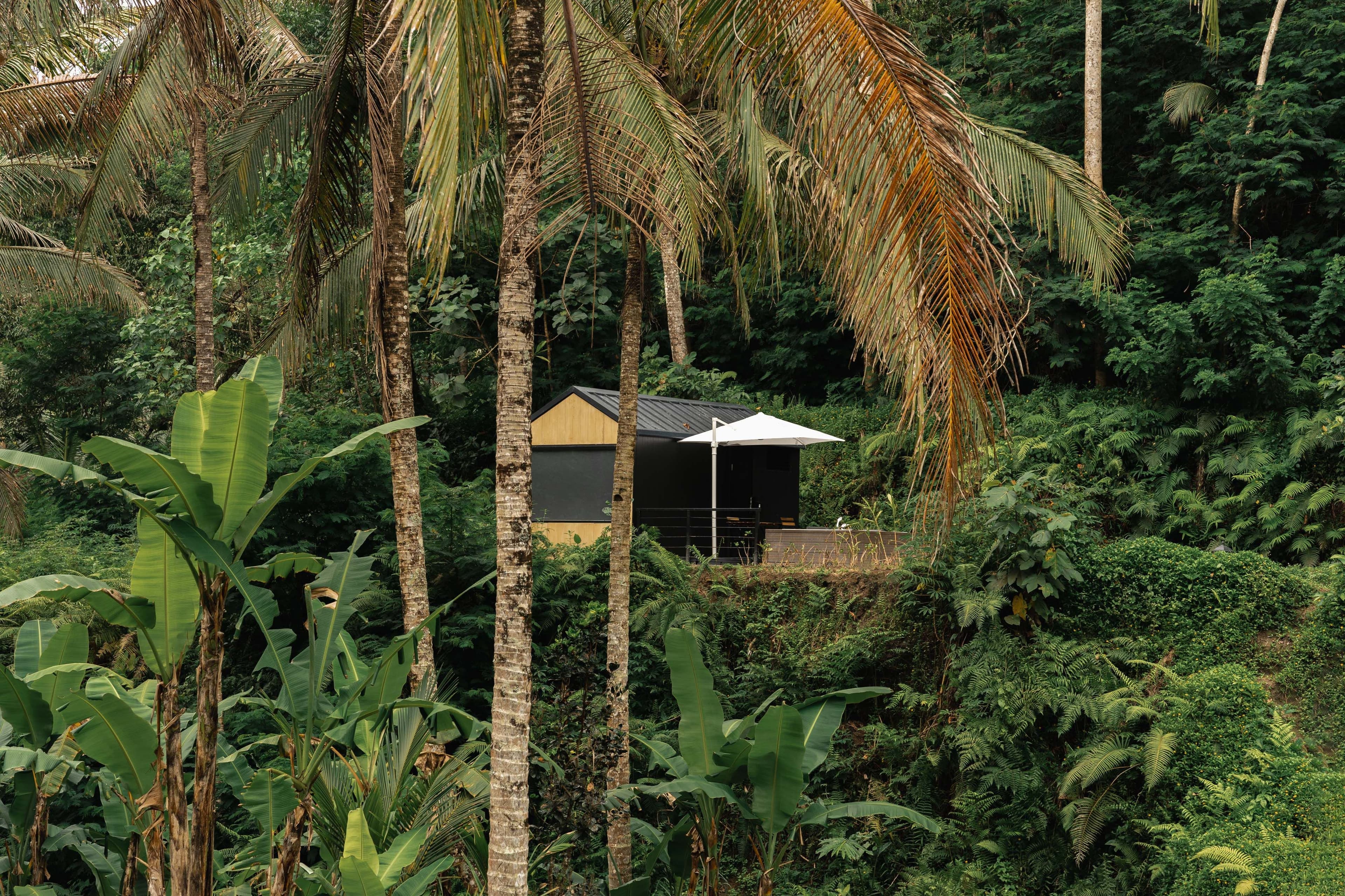 3H2M Ubud Serenity & Adventure: Dari Sawah hingga Gunung Batur