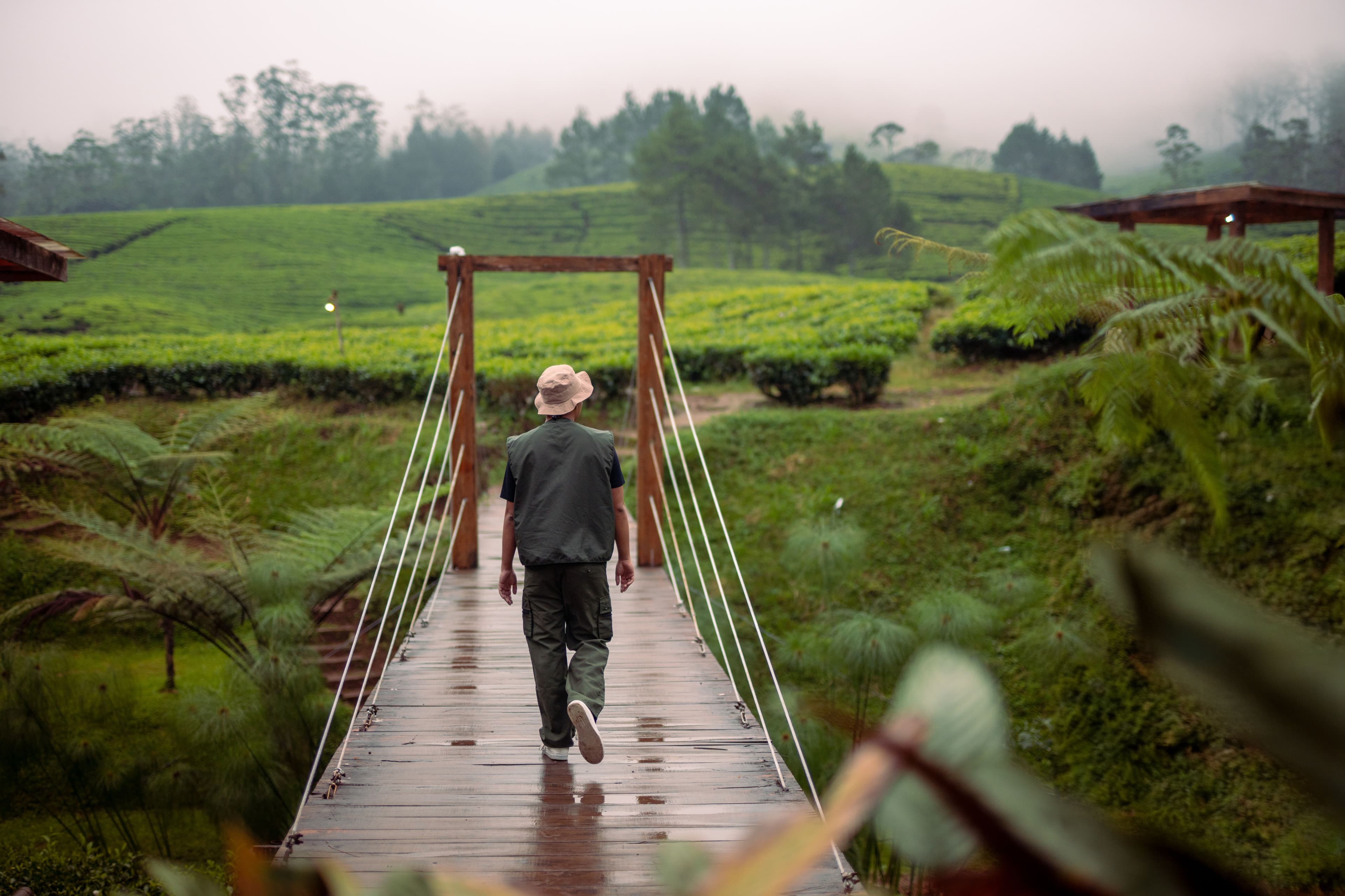 Jelajahi Pangalengan: Nimo Highland, Rumah Pengabdi Setan, dan Deer Park