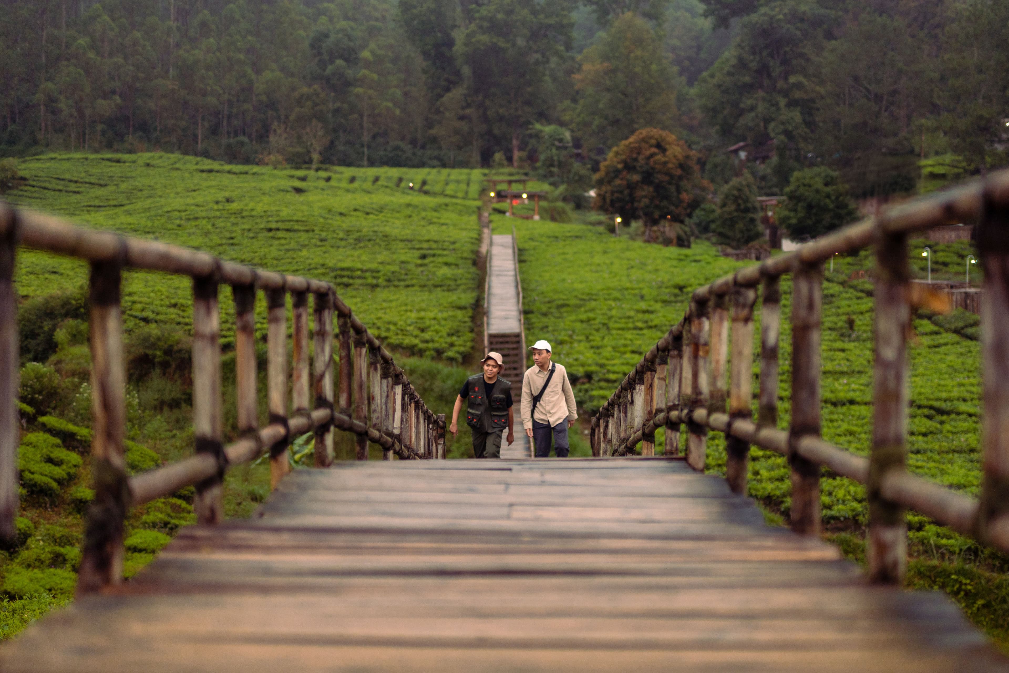 Jelajahi Pangalengan: Nimo Highland, Rumah Pengabdi Setan, dan Deer Park