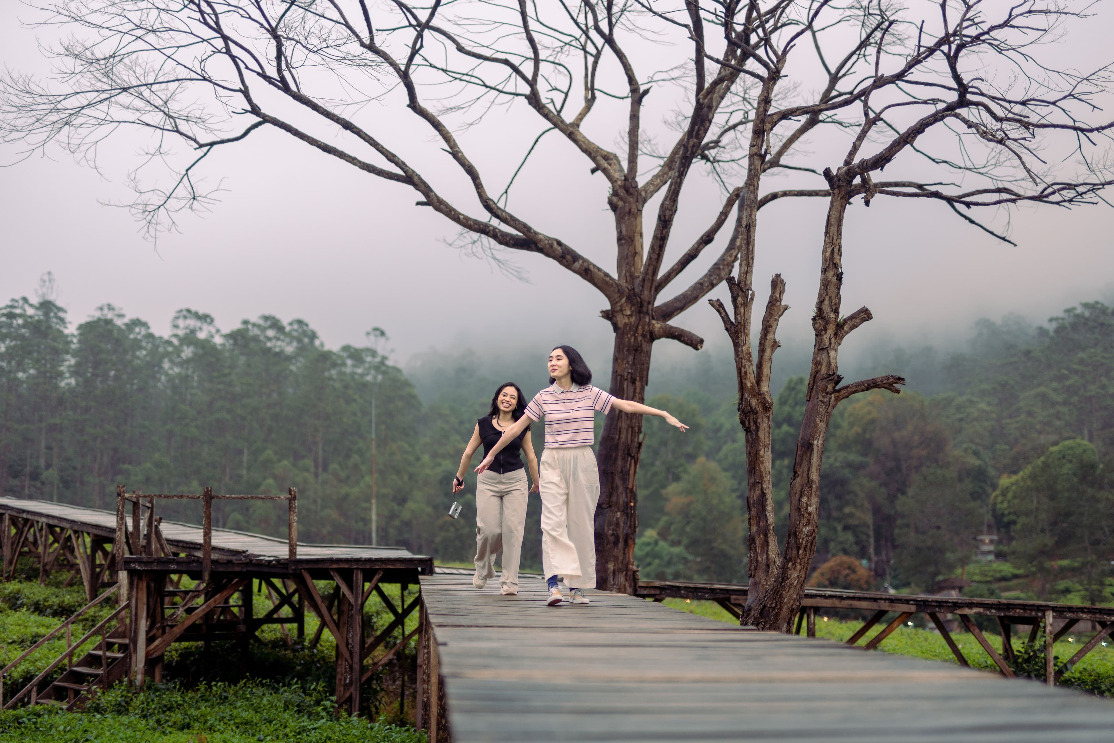 Jelajahi Pangalengan: Nimo Highland, Rumah Pengabdi Setan, dan Deer Park
