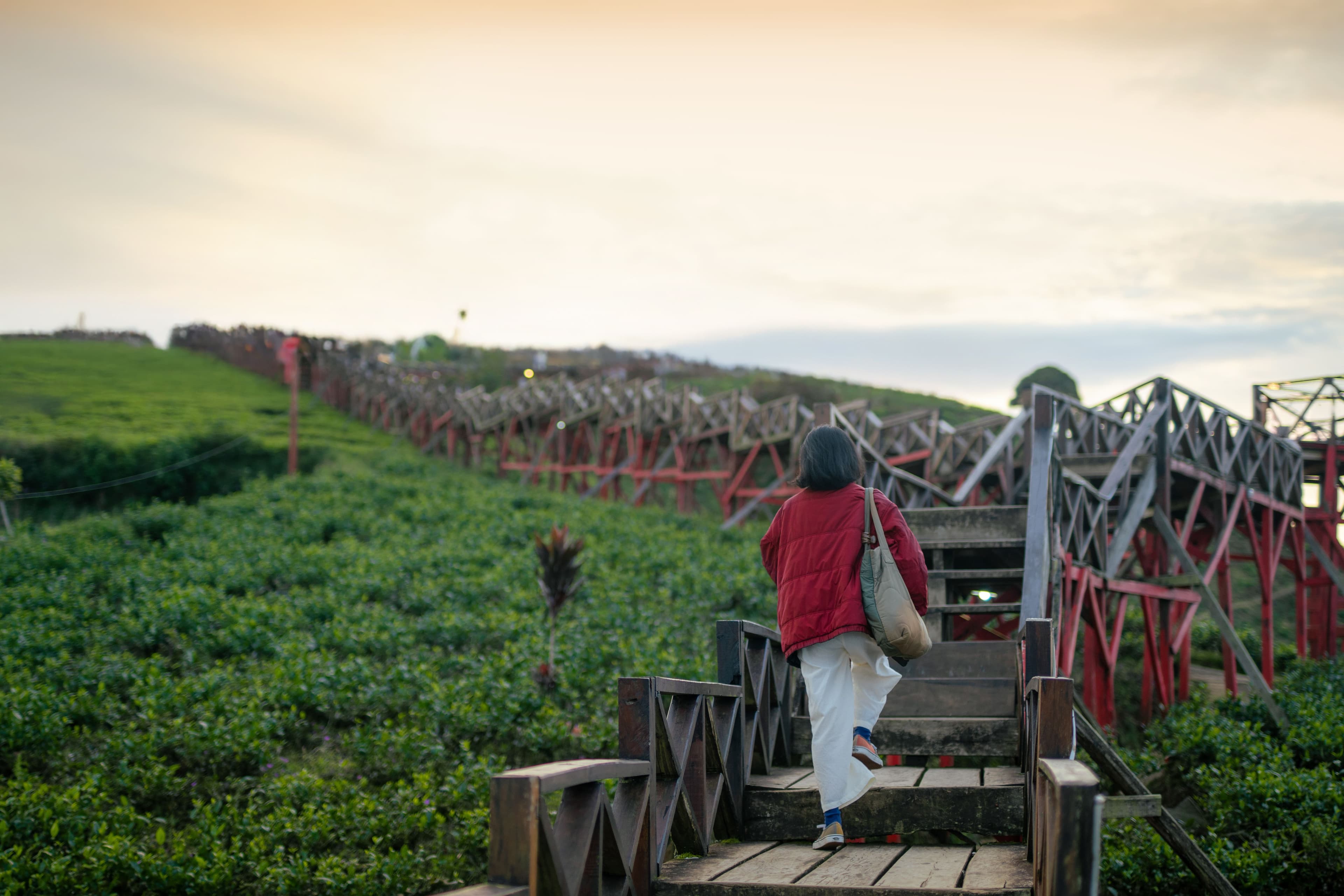 Jelajahi Pangalengan: Nimo Highland, Rumah Pengabdi Setan, dan Deer Park