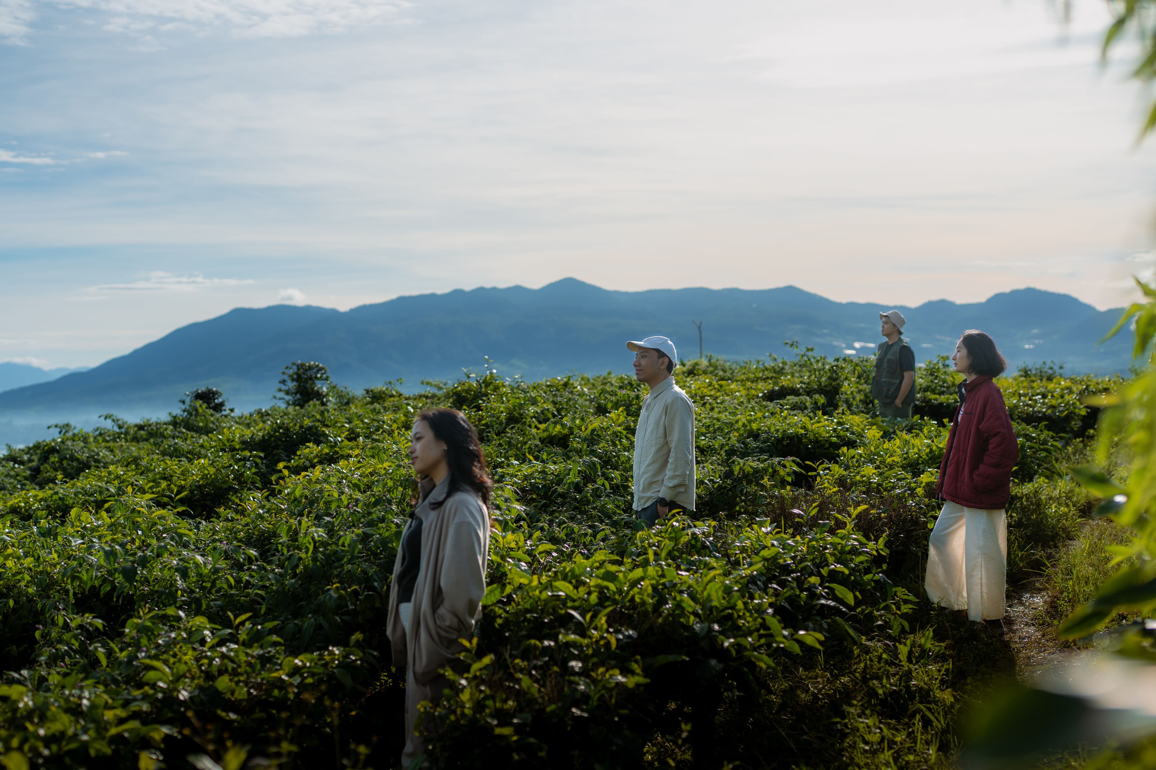 Trekking di Kebun Teh