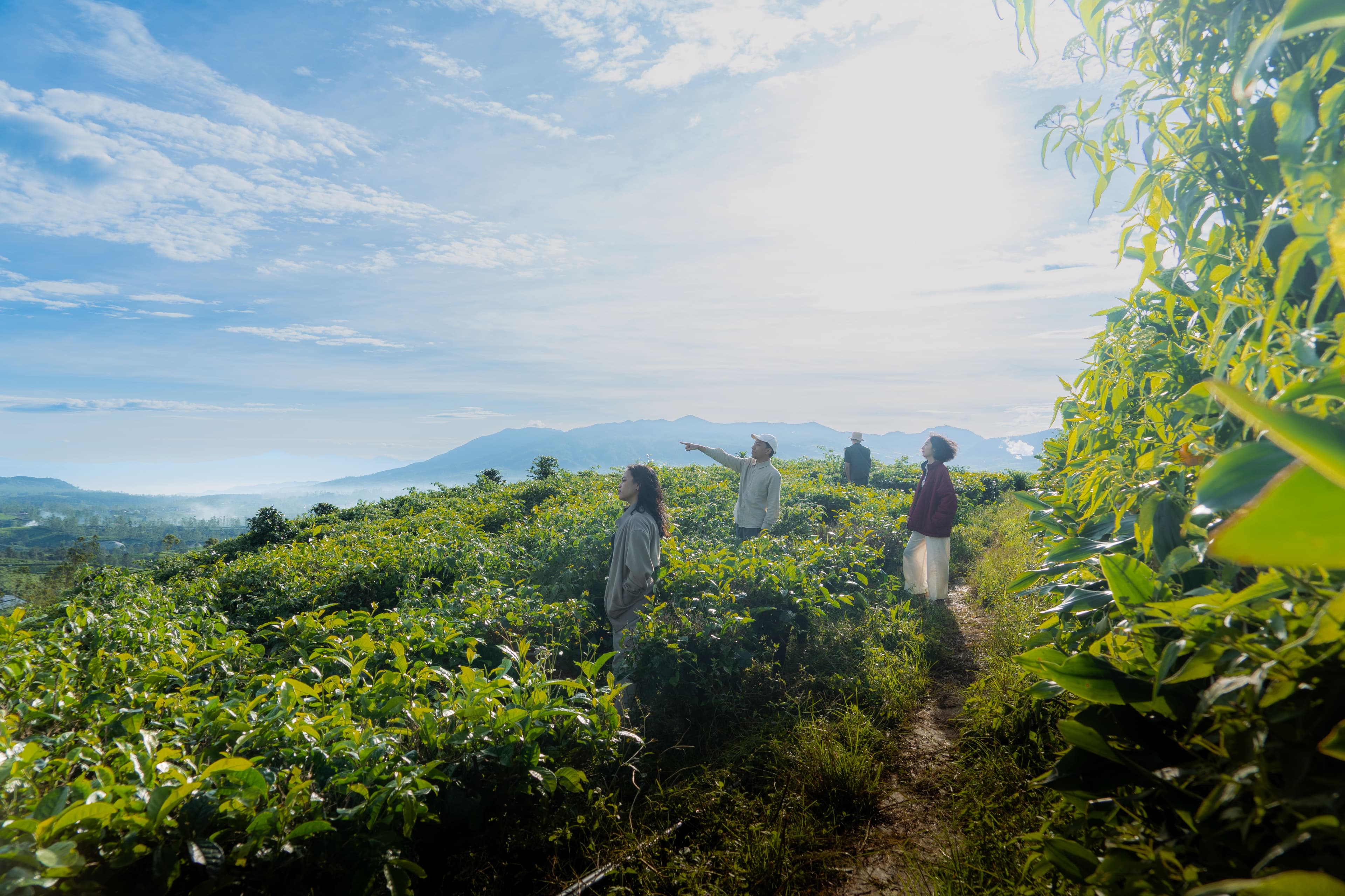 Trekking di Kebun Teh