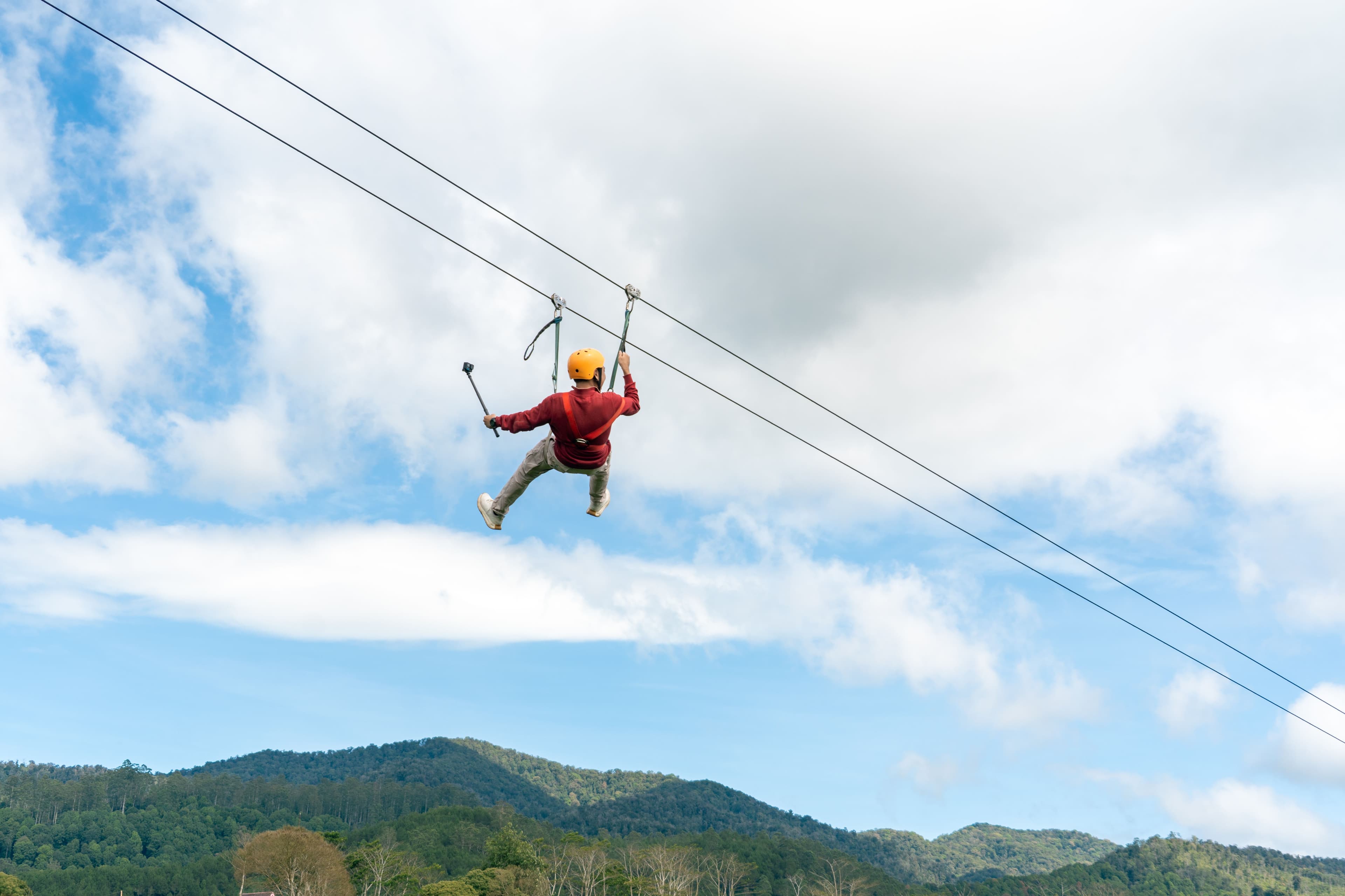 Flying Fox