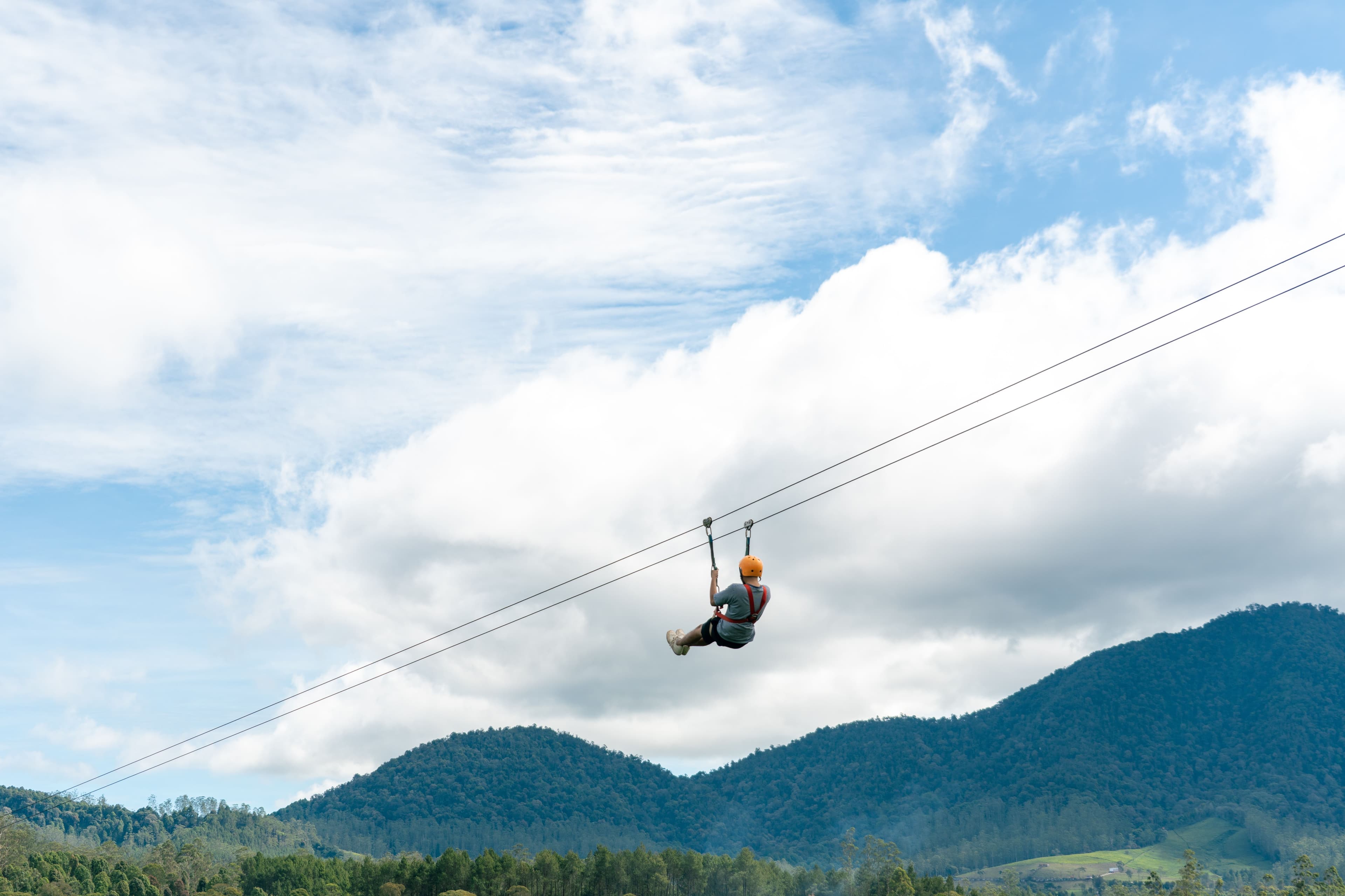 Flying Fox