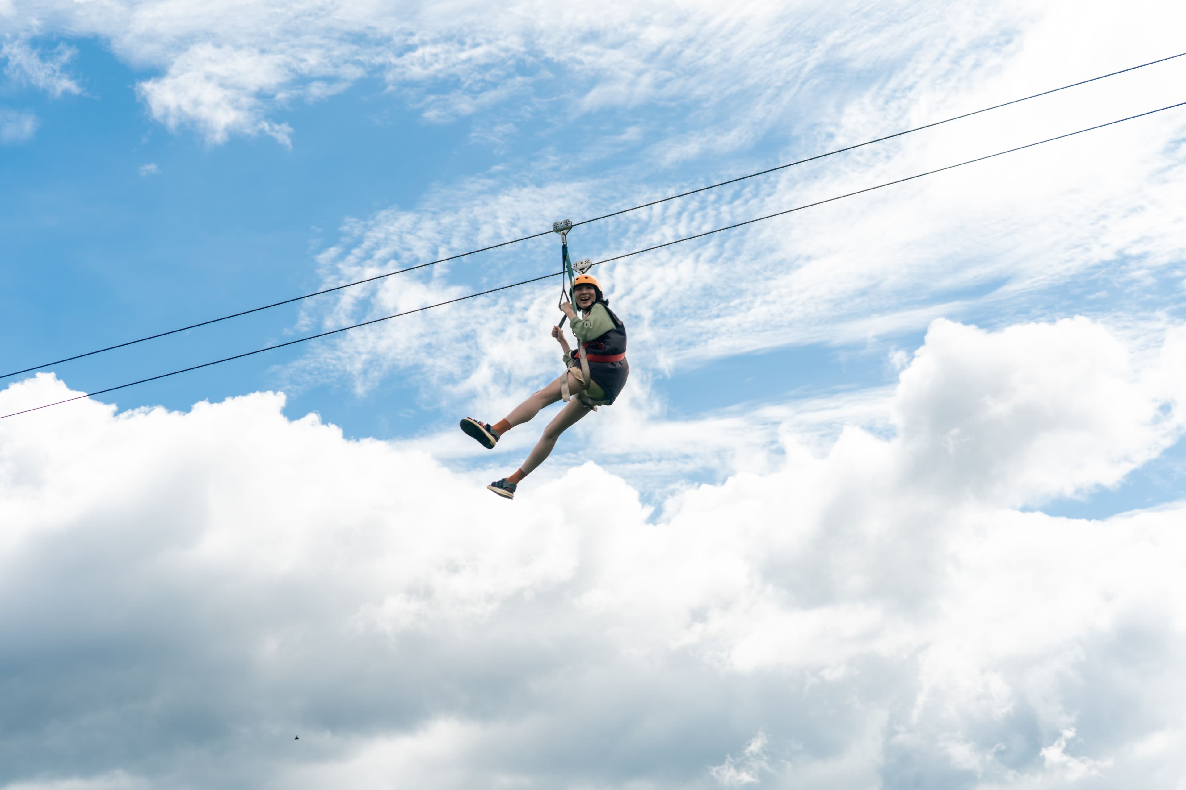 Flying Fox