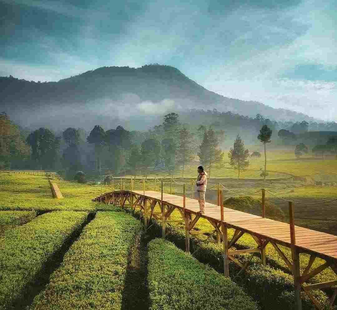 Jelajahi Pangalengan: Nimo Highland, Rumah Pengabdi Setan, dan Deer Park