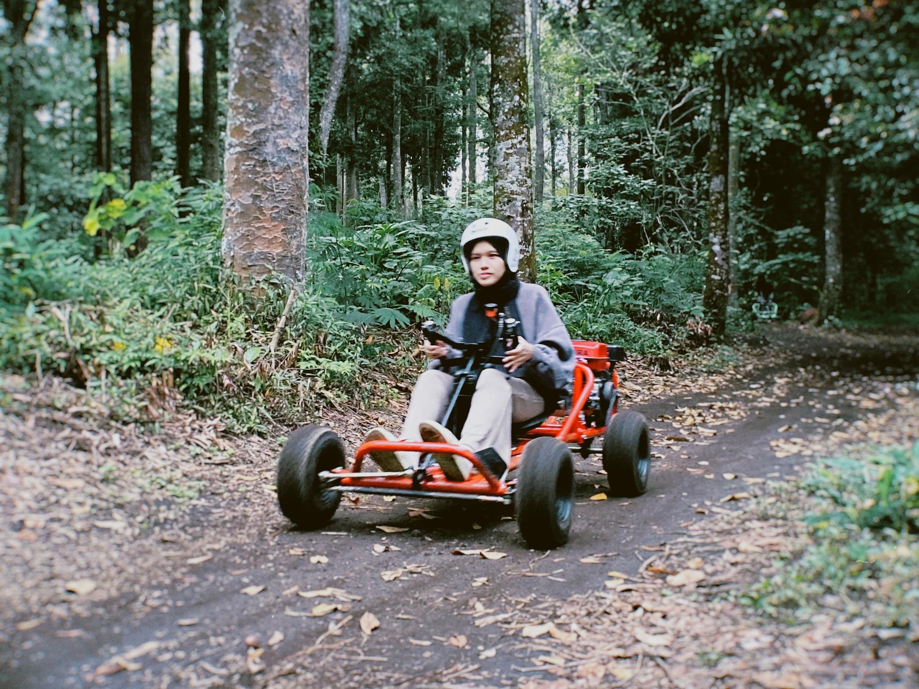 Off-Road Gokart