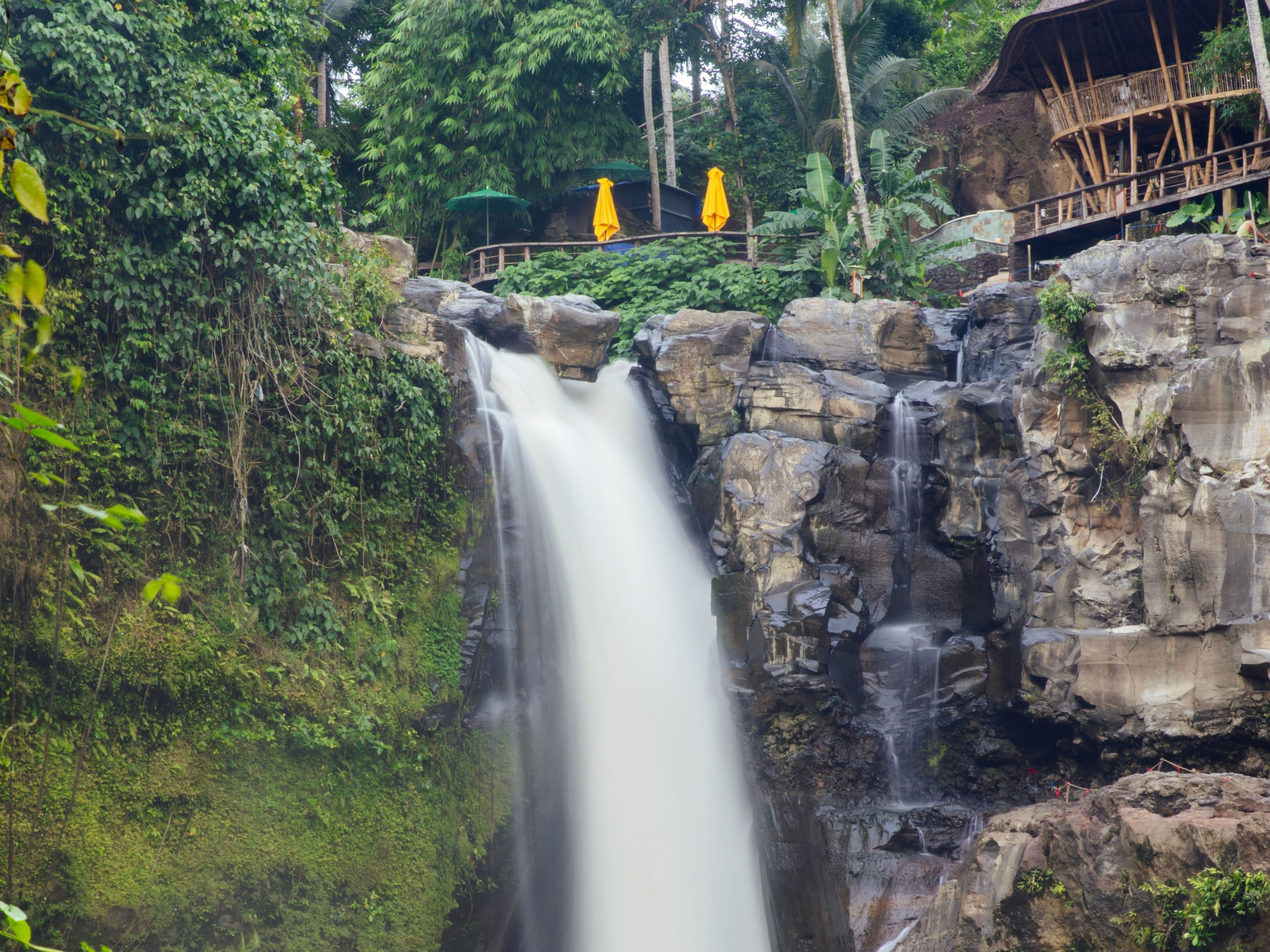 Kintamani Tour Rice Terrace, Kintamani, Coffee, Tirta Empul, Waterfall