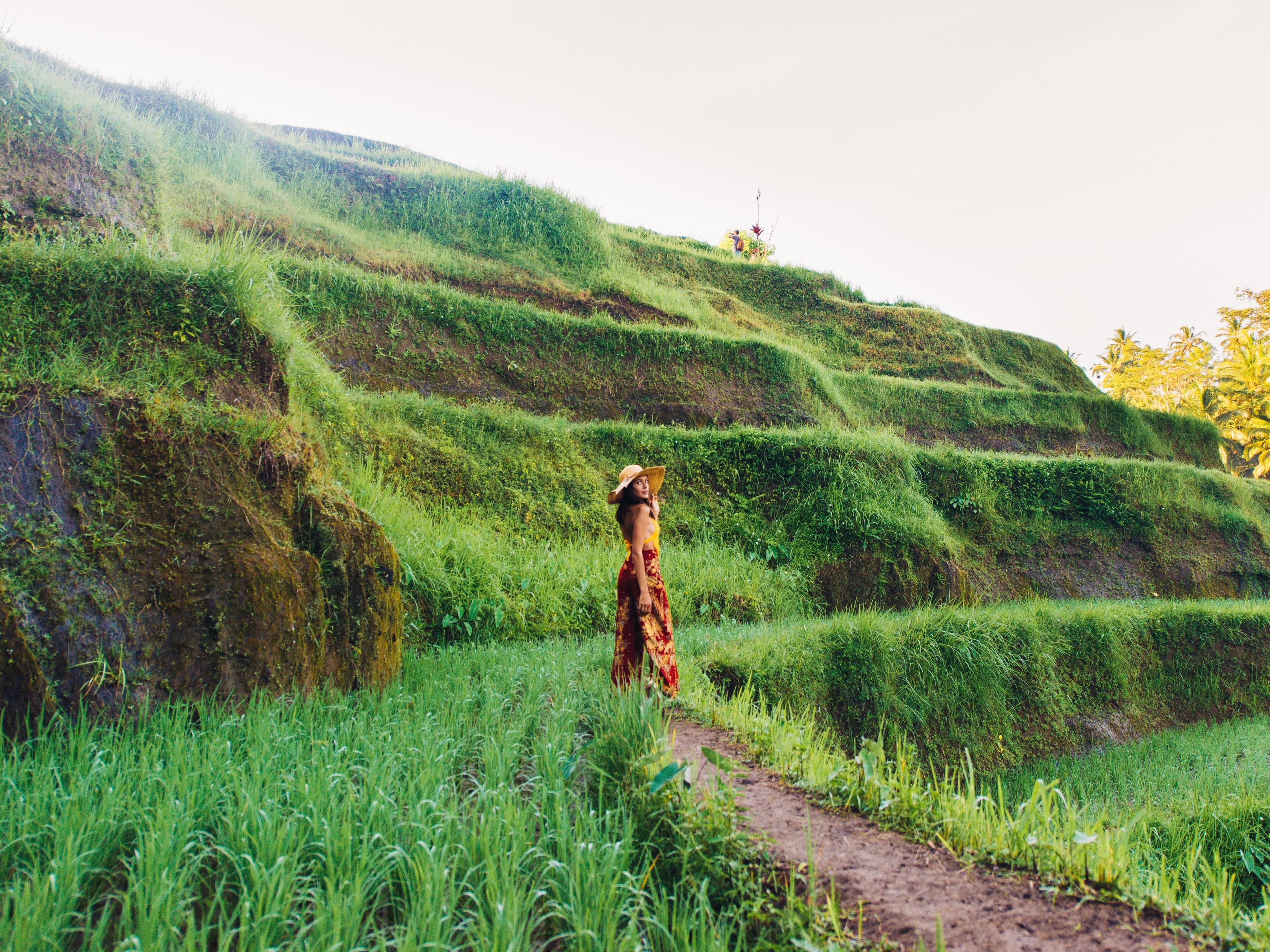 Ubud Tour C Rice Terrace - Rumah Bali Batuan - Batuan Temple - Waterfall