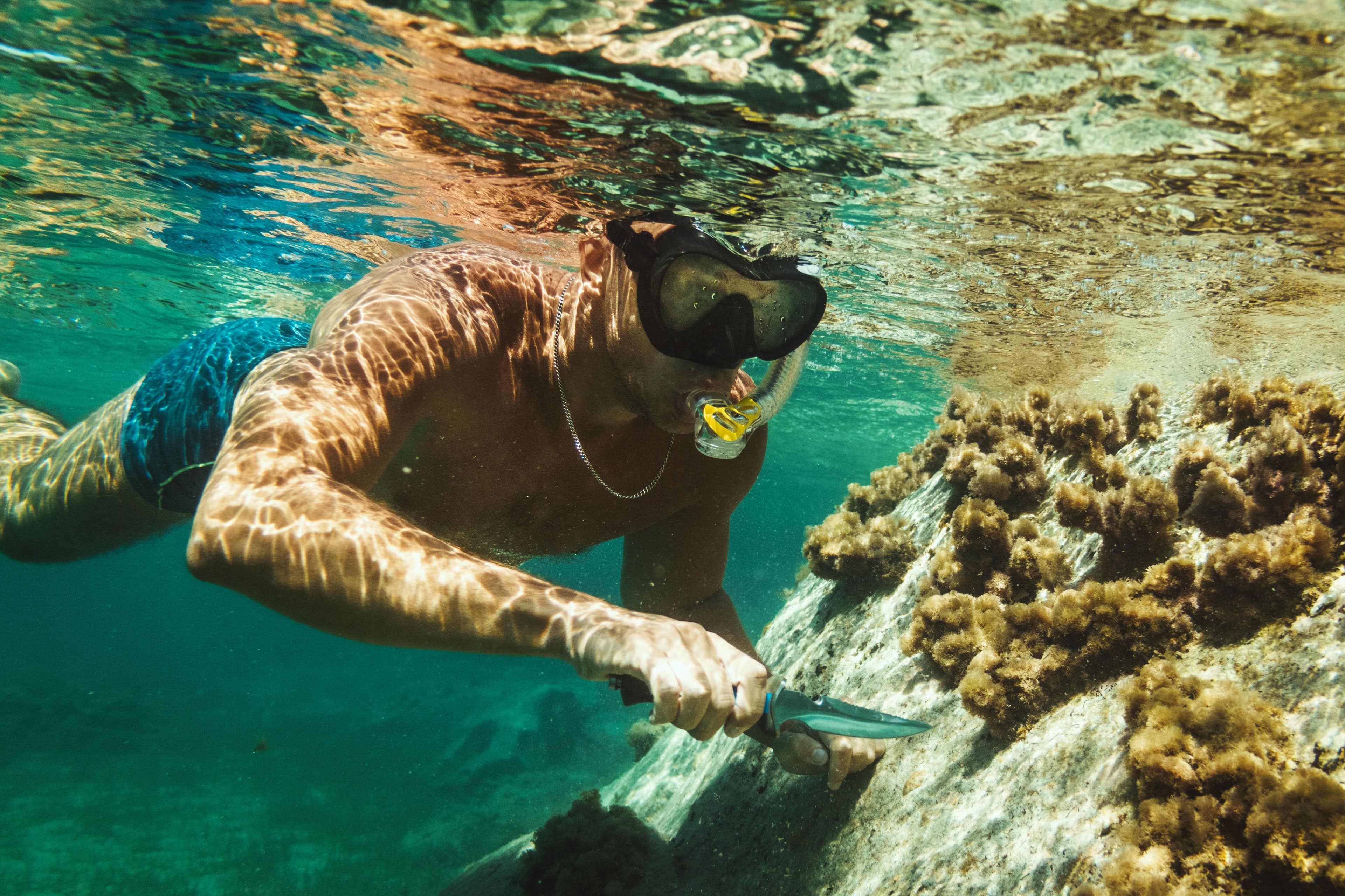 Snorkeling Basic