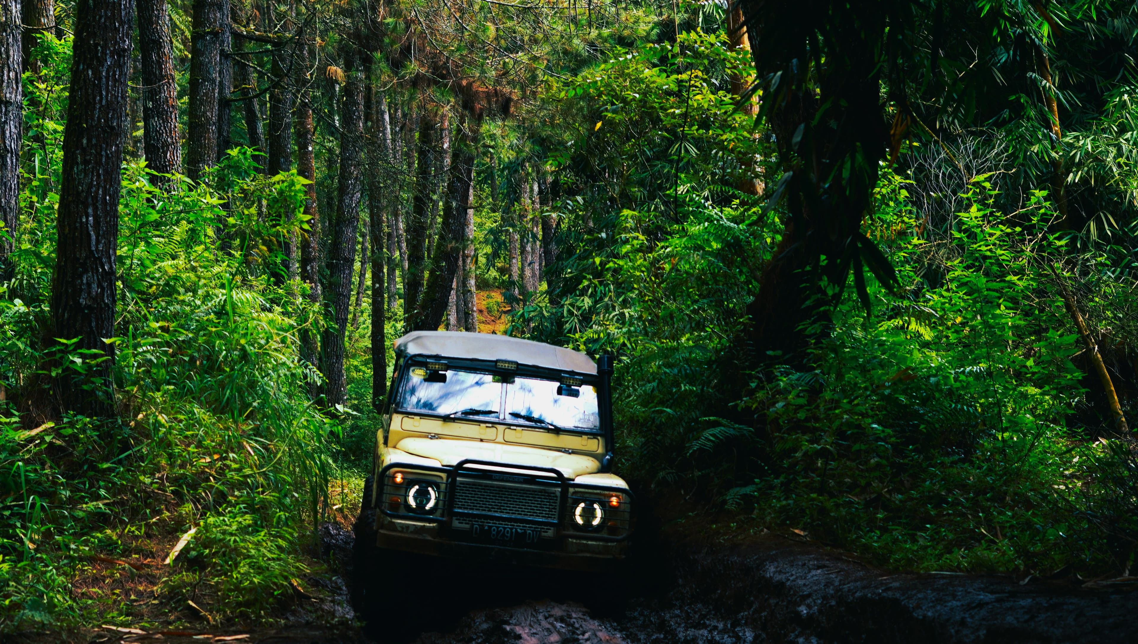 Offroad Jeep