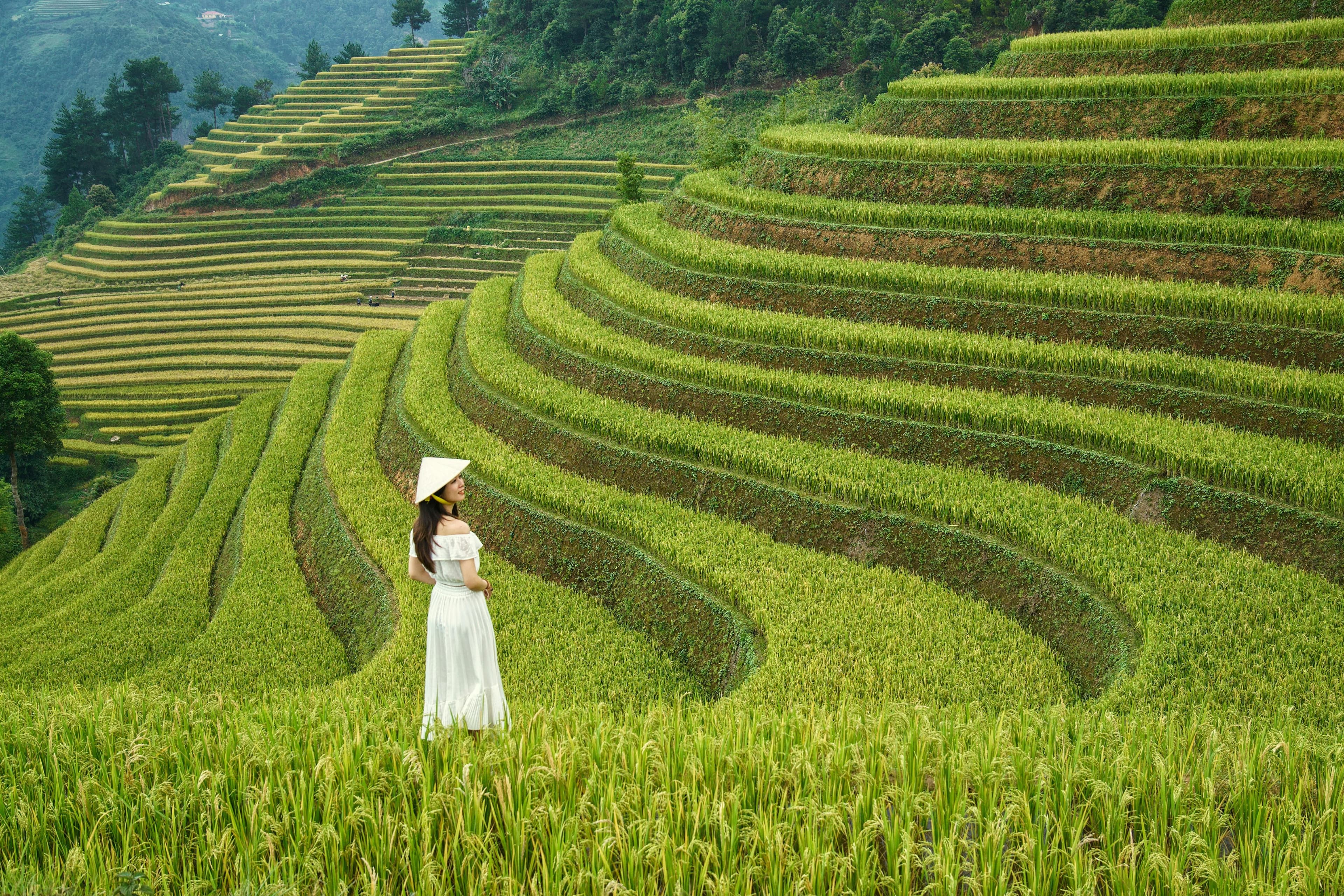 Rice Terrace Trekking