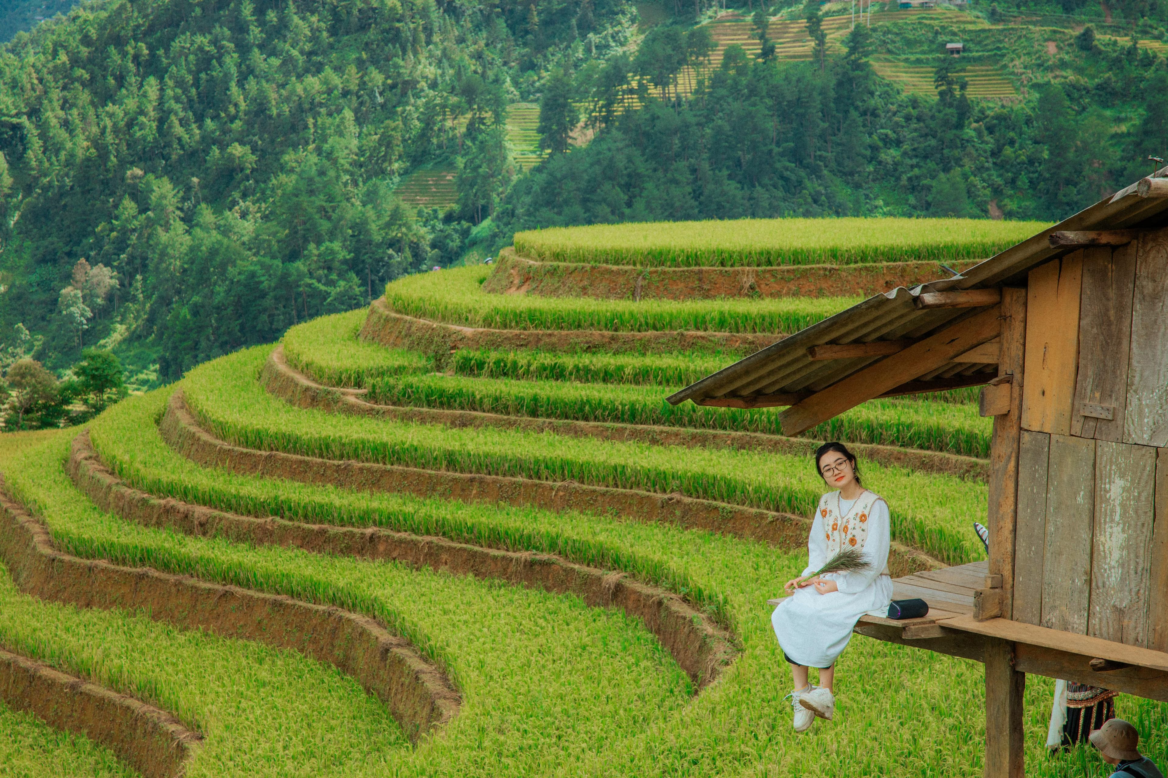 Rice Terrace Trekking