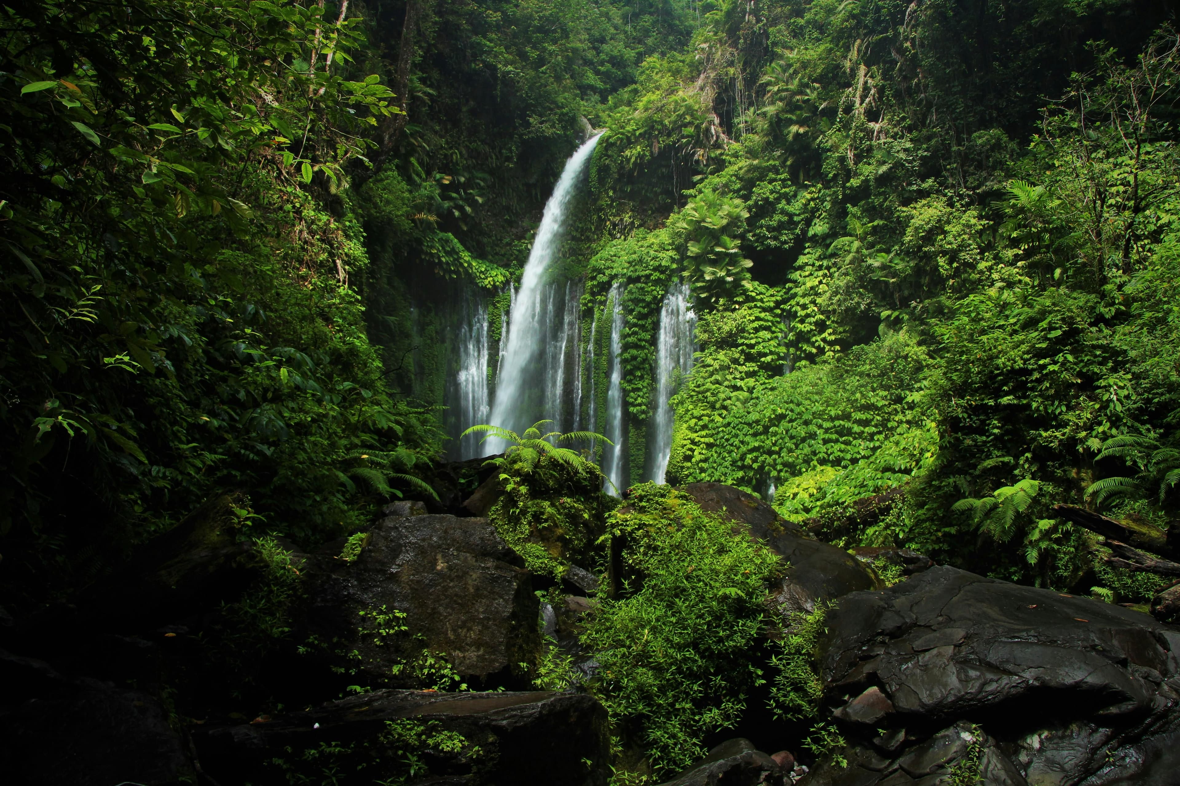 Air Terjun Tiu Kelep