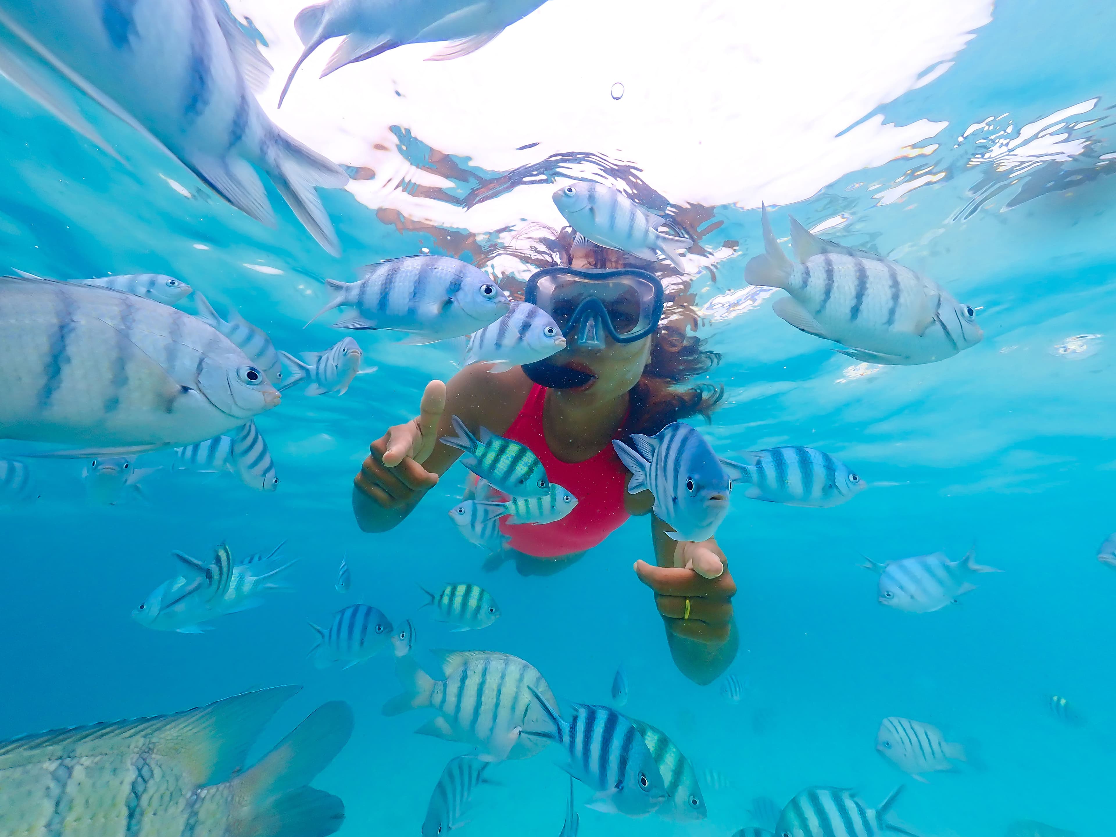 Snorkeling Basic