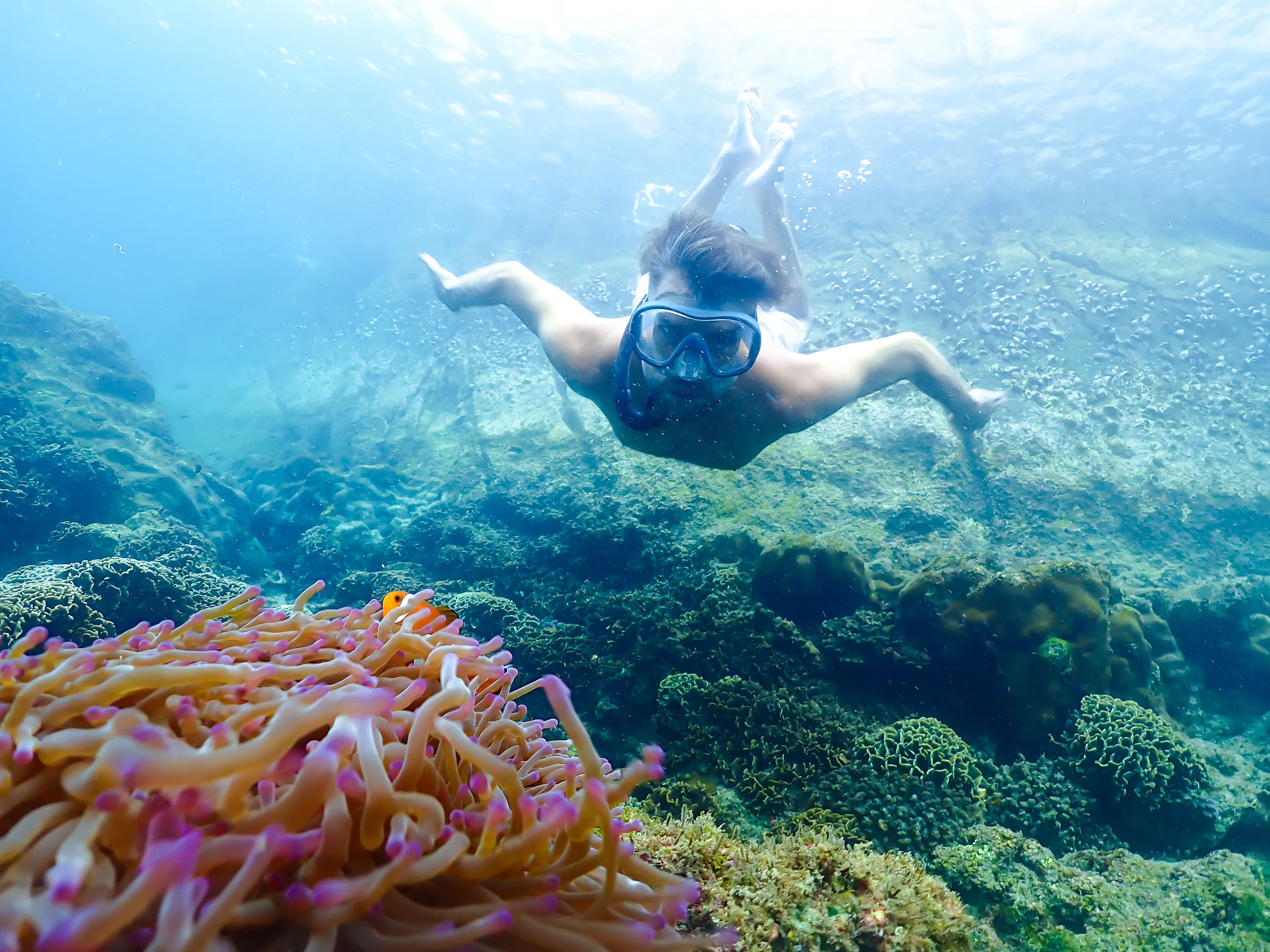 Snorkeling Basic