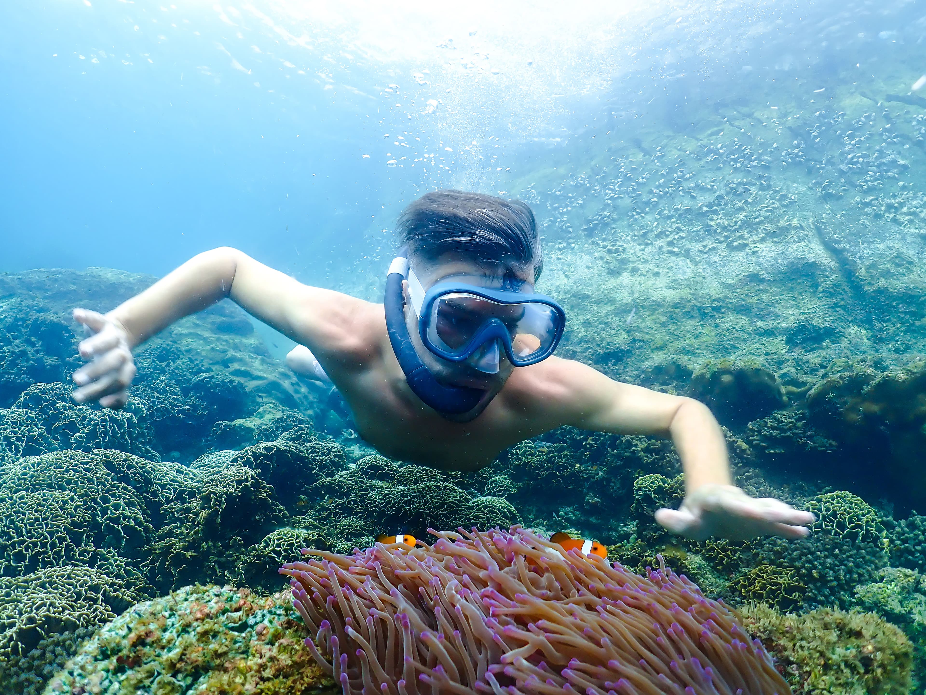 Snorkeling Basic