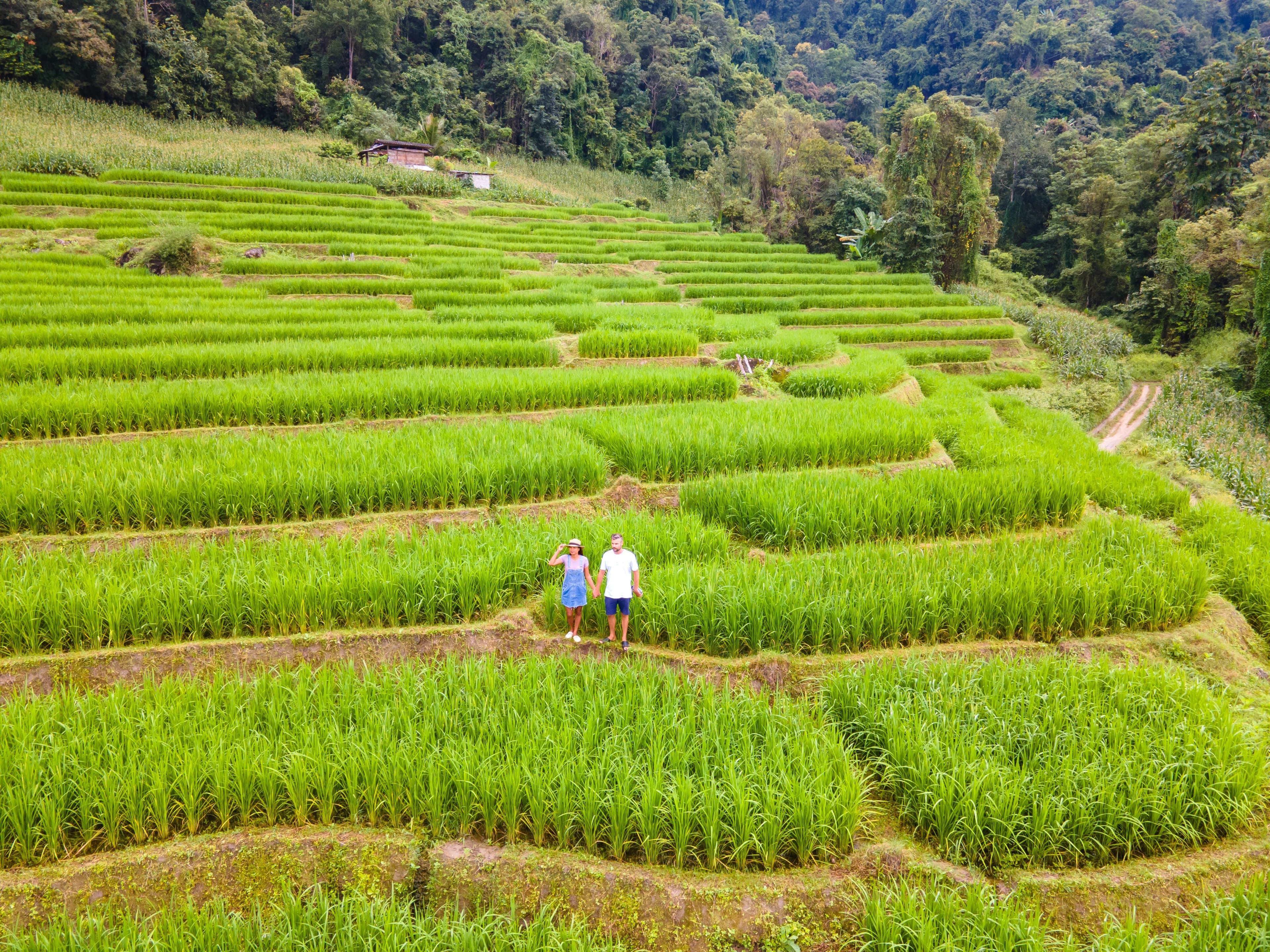 Rice Terrace Trekking