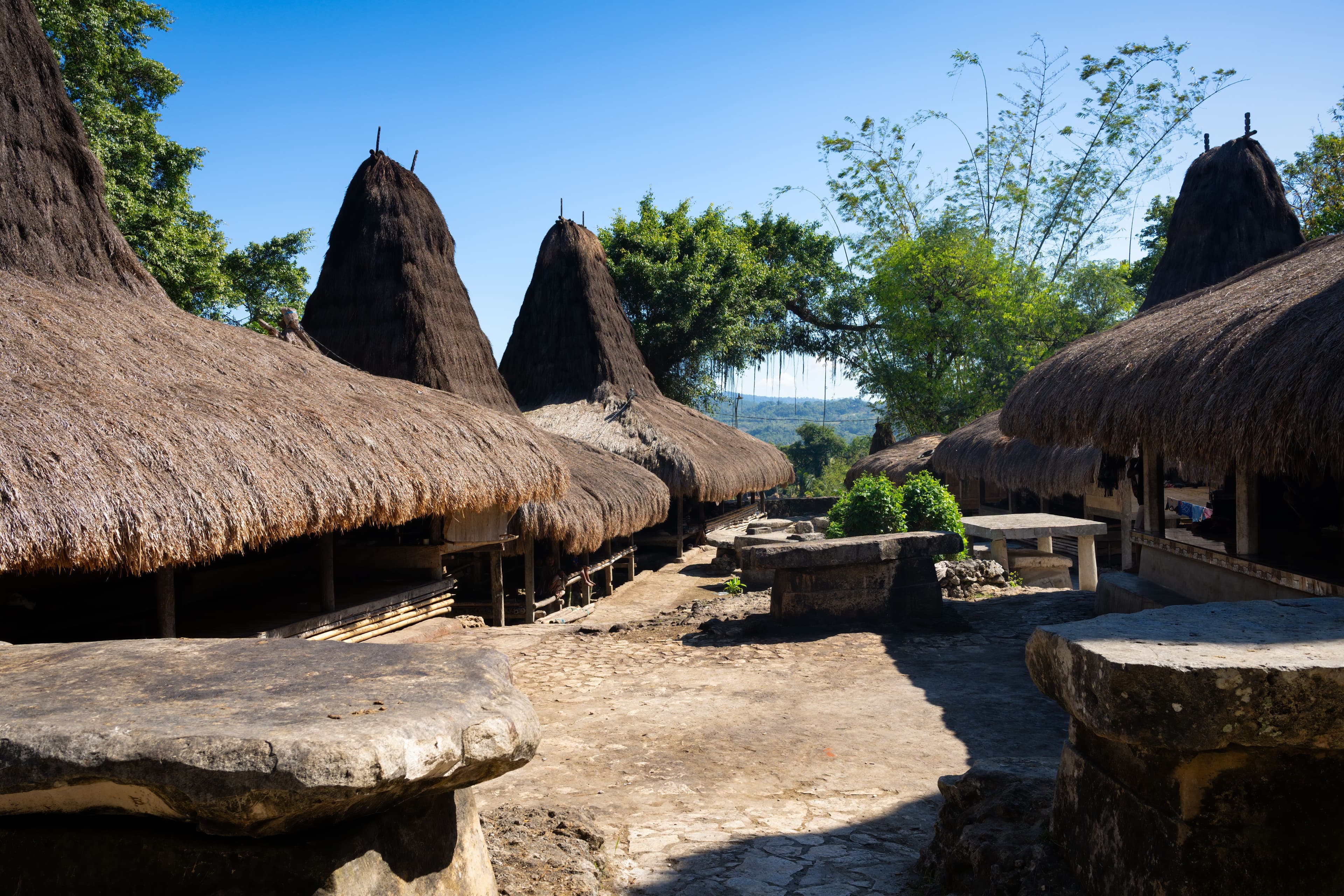 Tur 1 Hari Sumba Timur