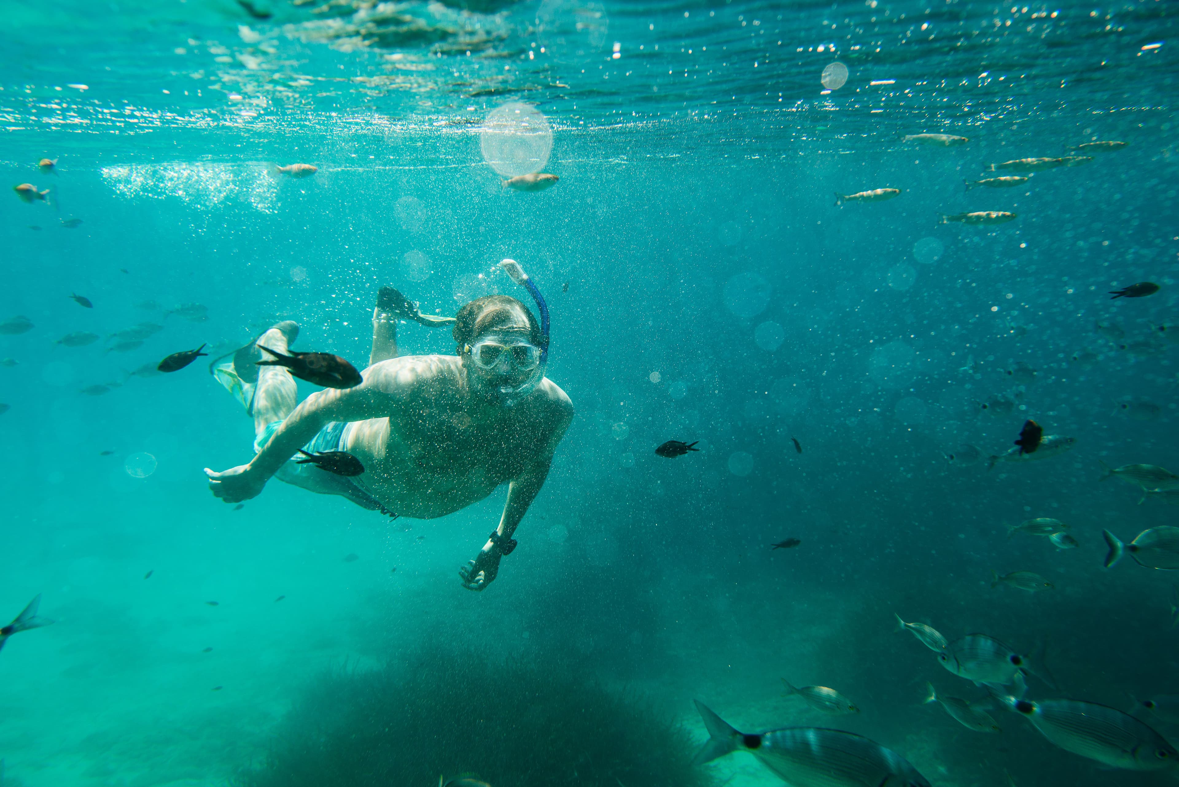 Snorkeling Basic