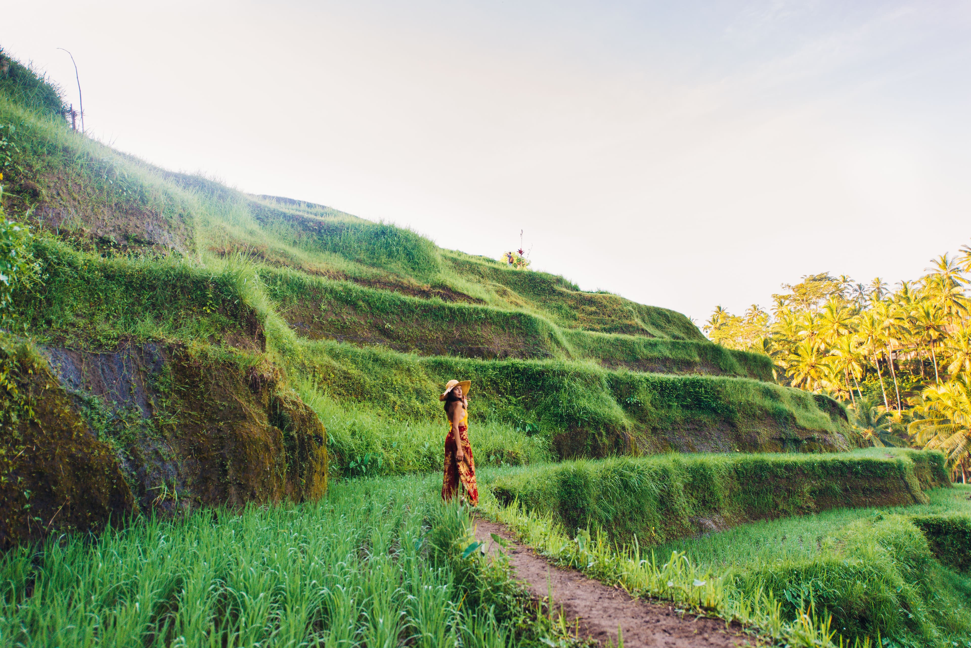 Rice Terrace Trekking